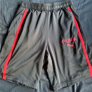 PUMA Men's Charcoal and Crimson Athletic Shorts